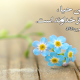 حیا